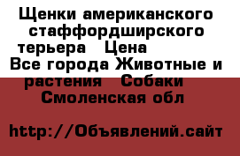 Щенки американского стаффордширского терьера › Цена ­ 20 000 - Все города Животные и растения » Собаки   . Смоленская обл.